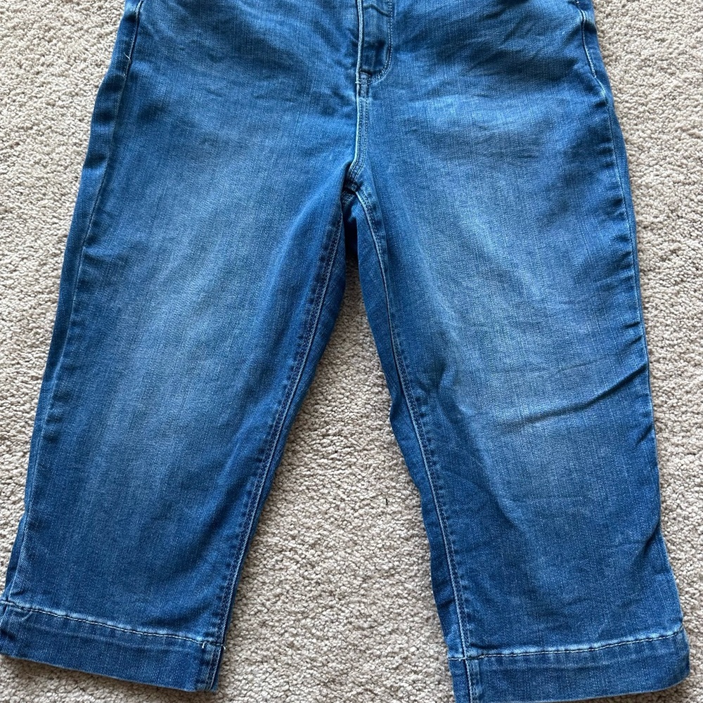 Laurie Felt Daisy Denim Skimmer Jeans